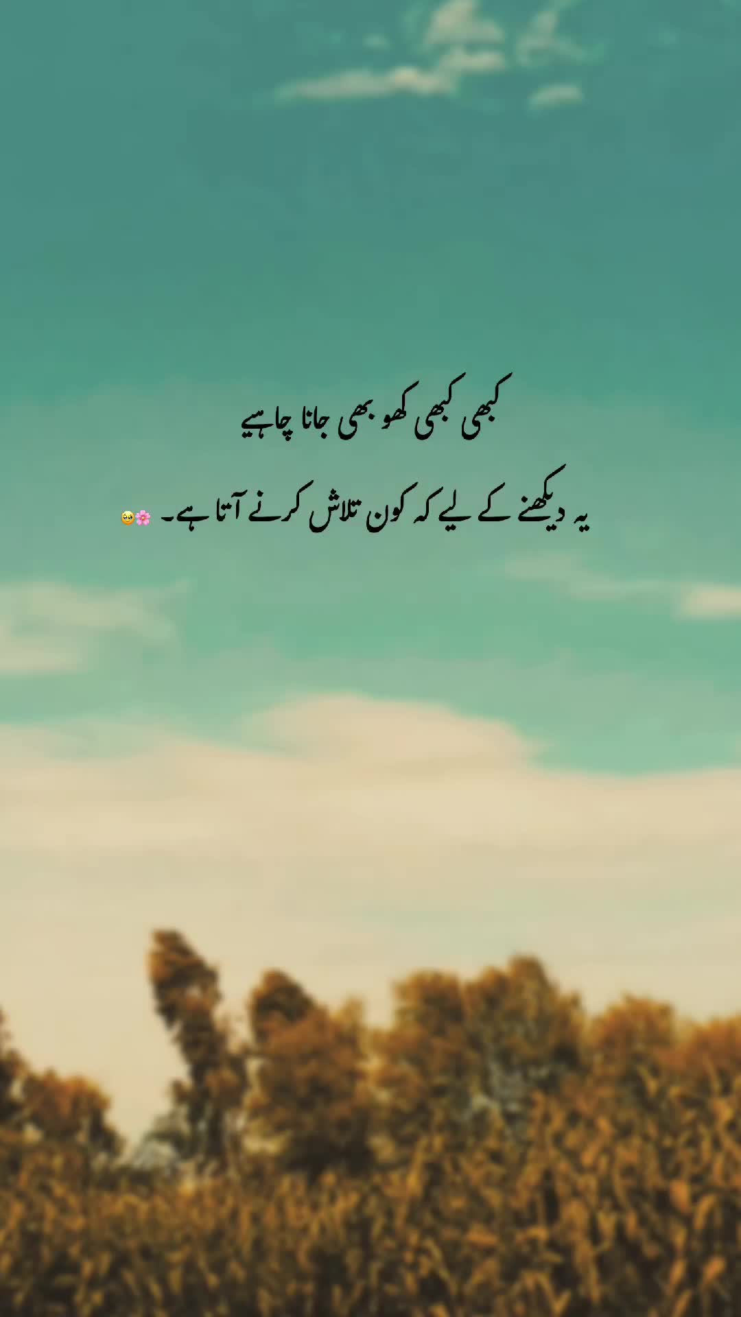 @𓆩♡𓆪