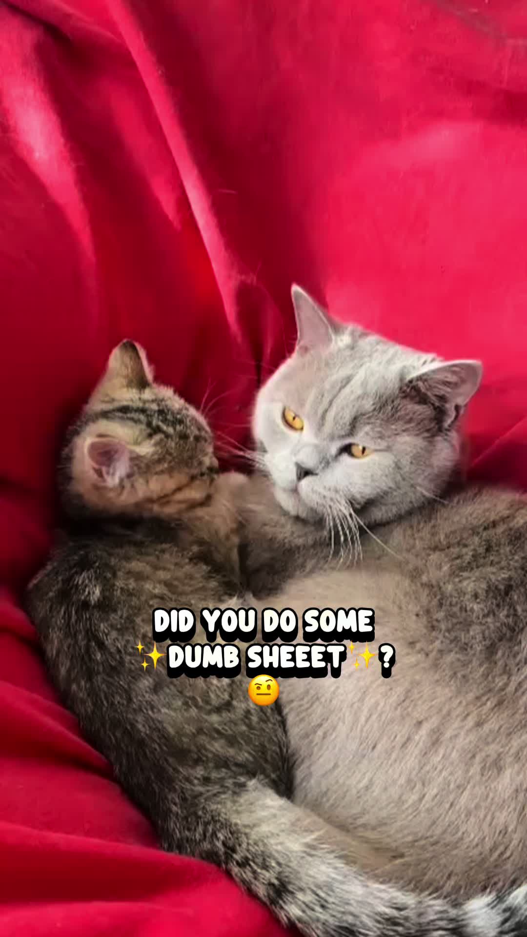 @parisyomama