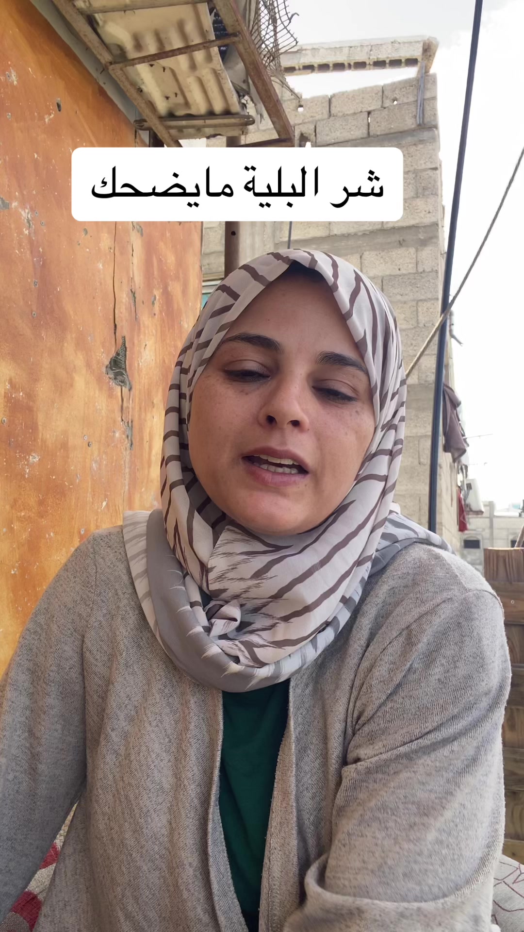 @هالة الاخشم
