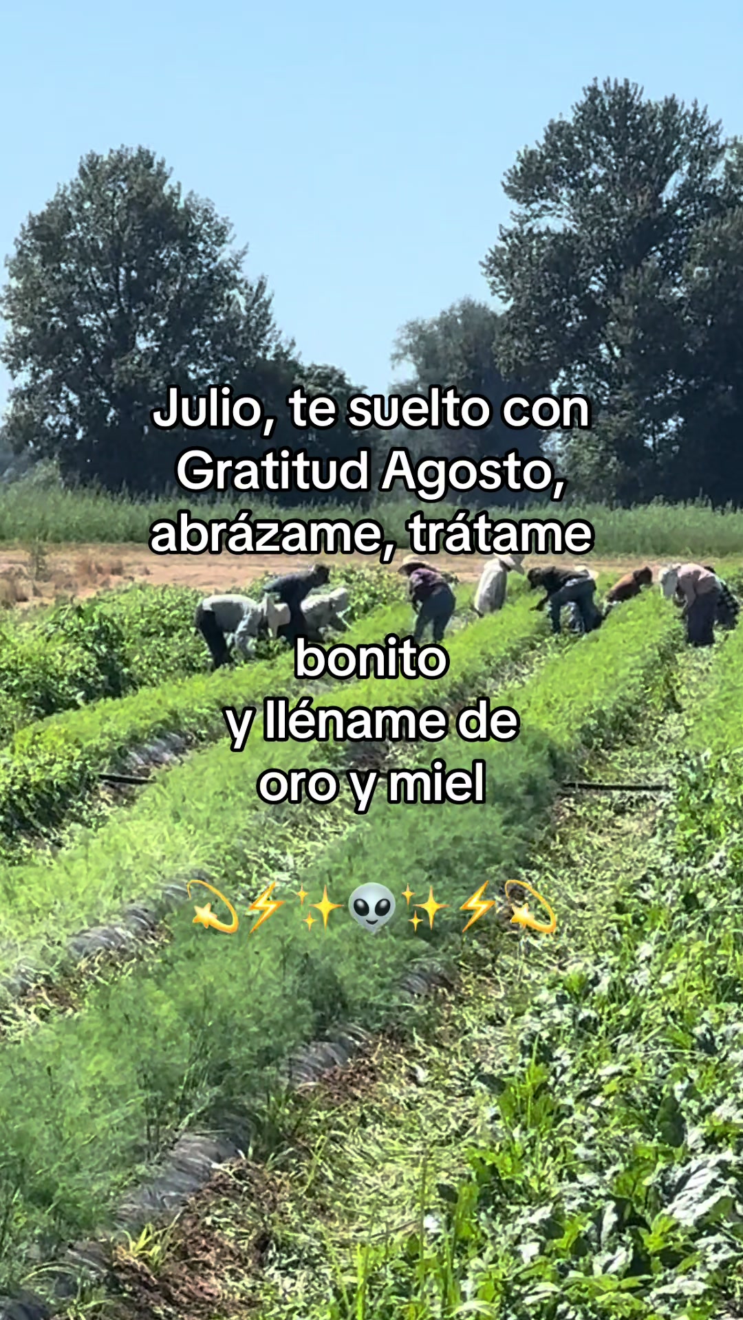 @⚜️🍓🪗pablocarbajal63🪗🍓👑🔱