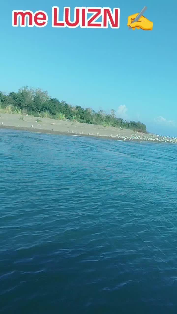 @Me. Luizini ✍️