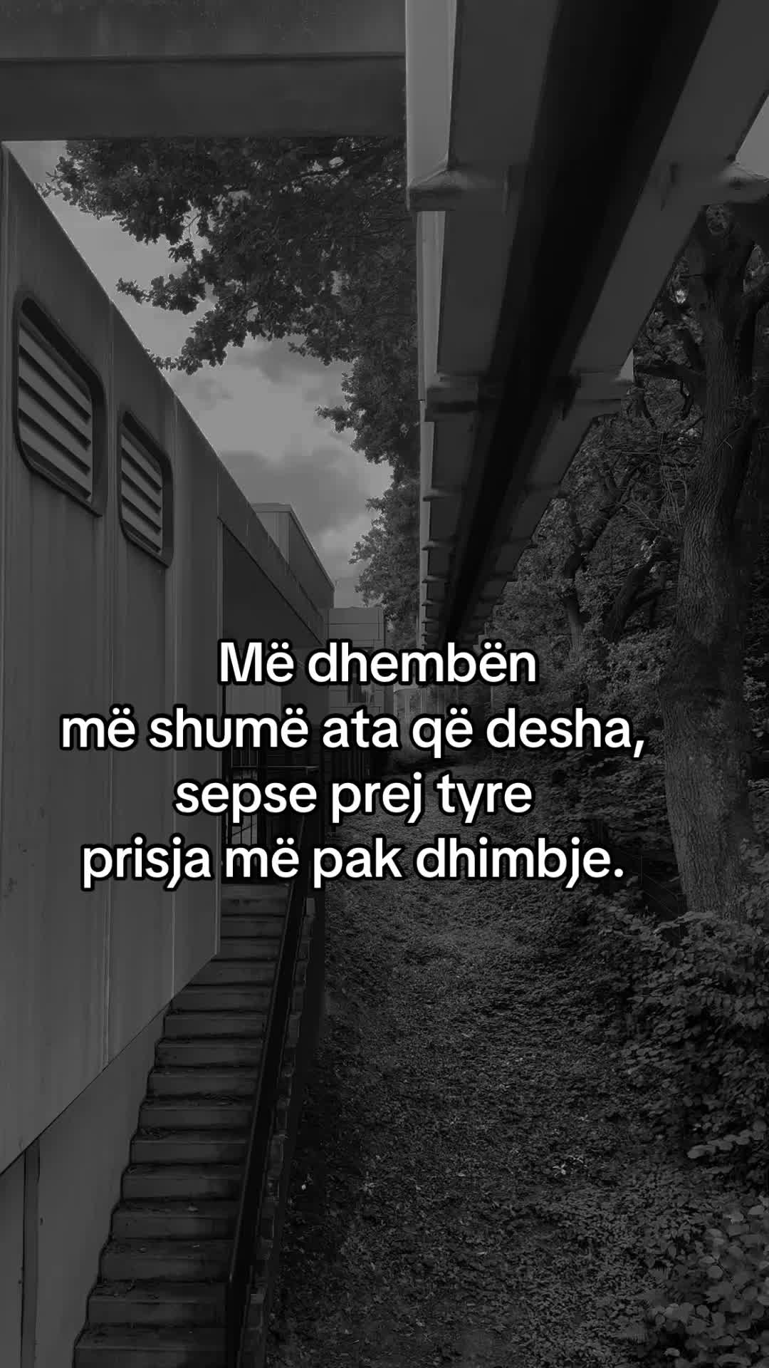 @Ilda_007🇦🇱❤️