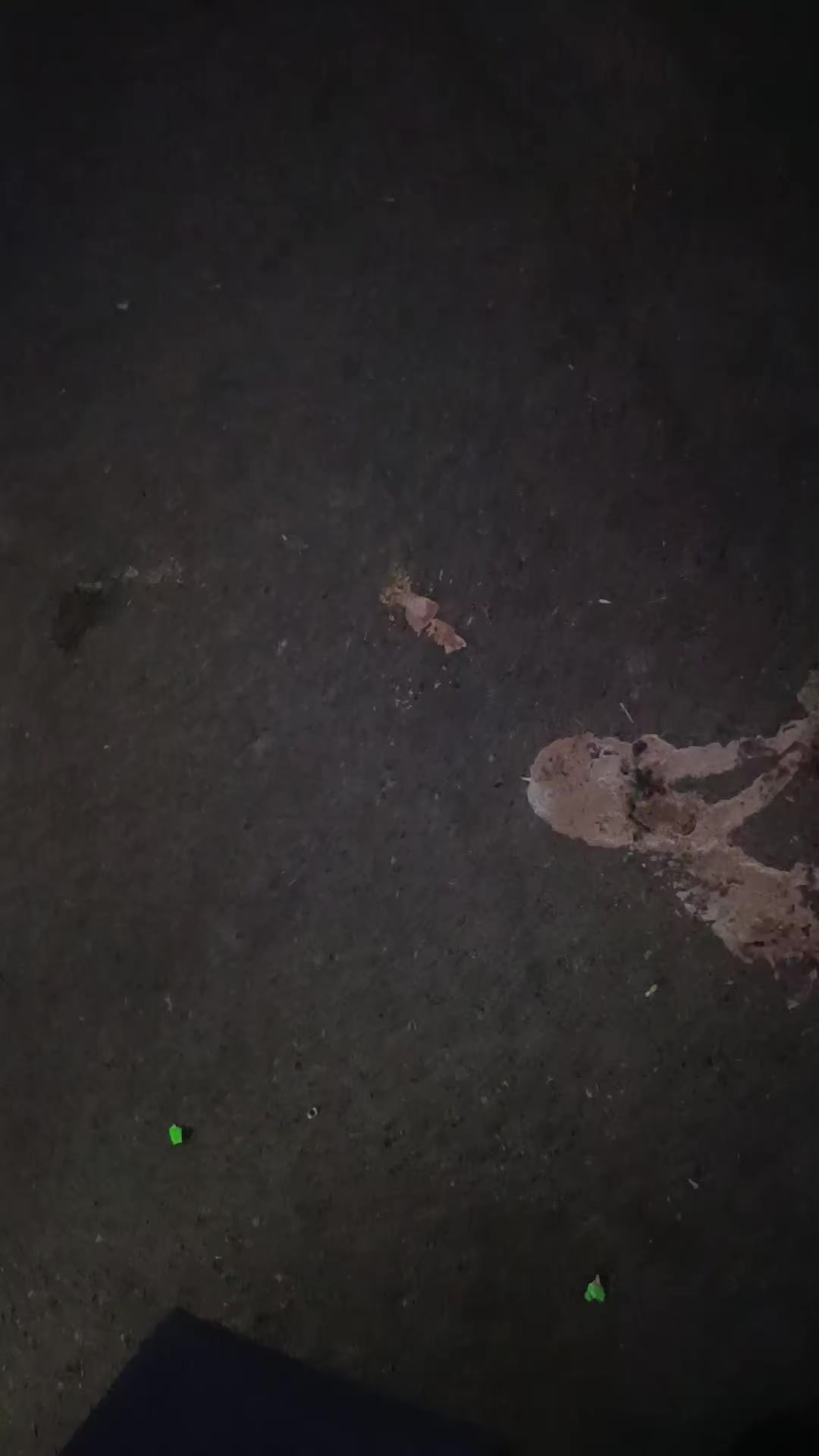 @оллох буюк