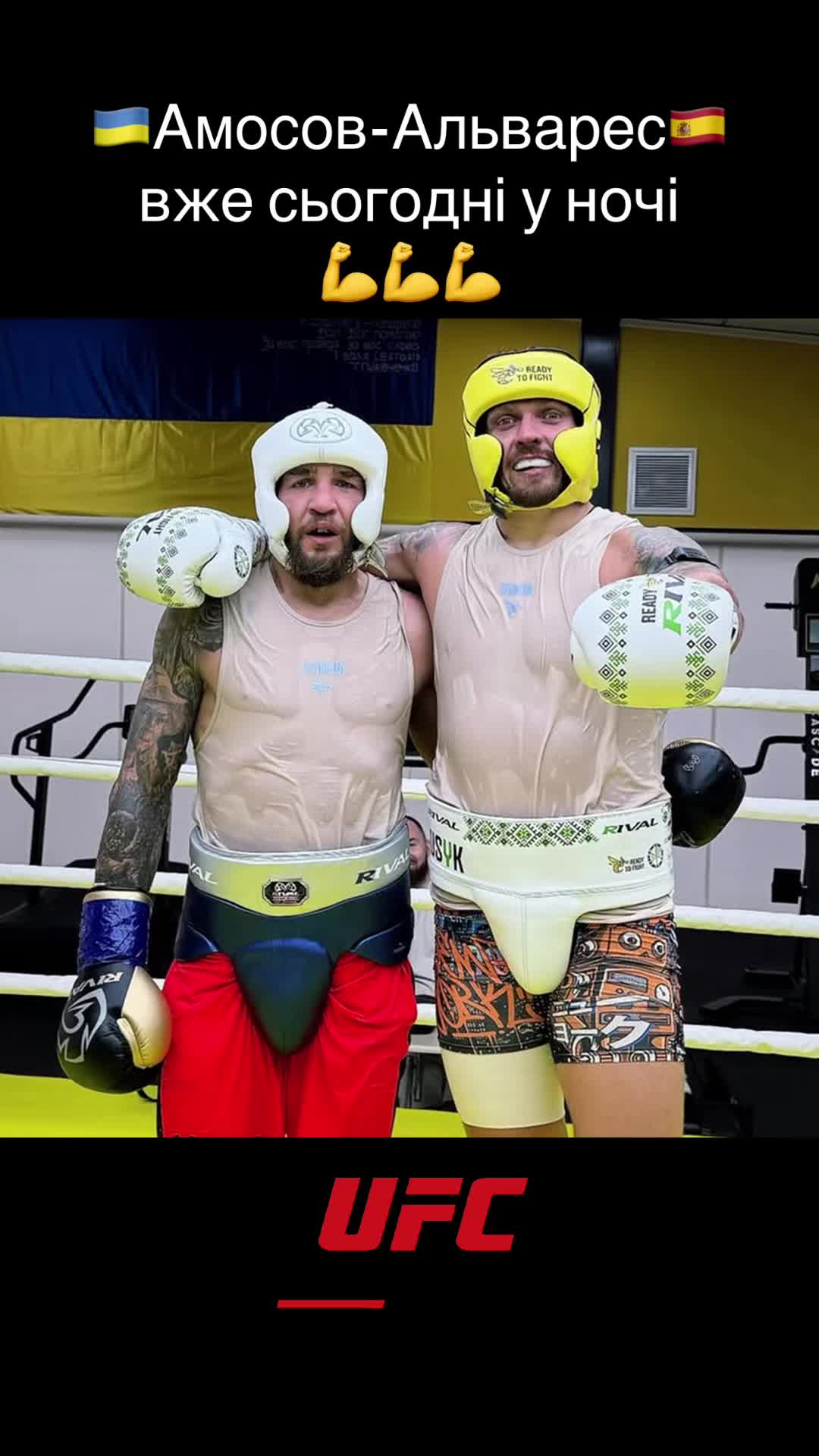 @USYK FAN
