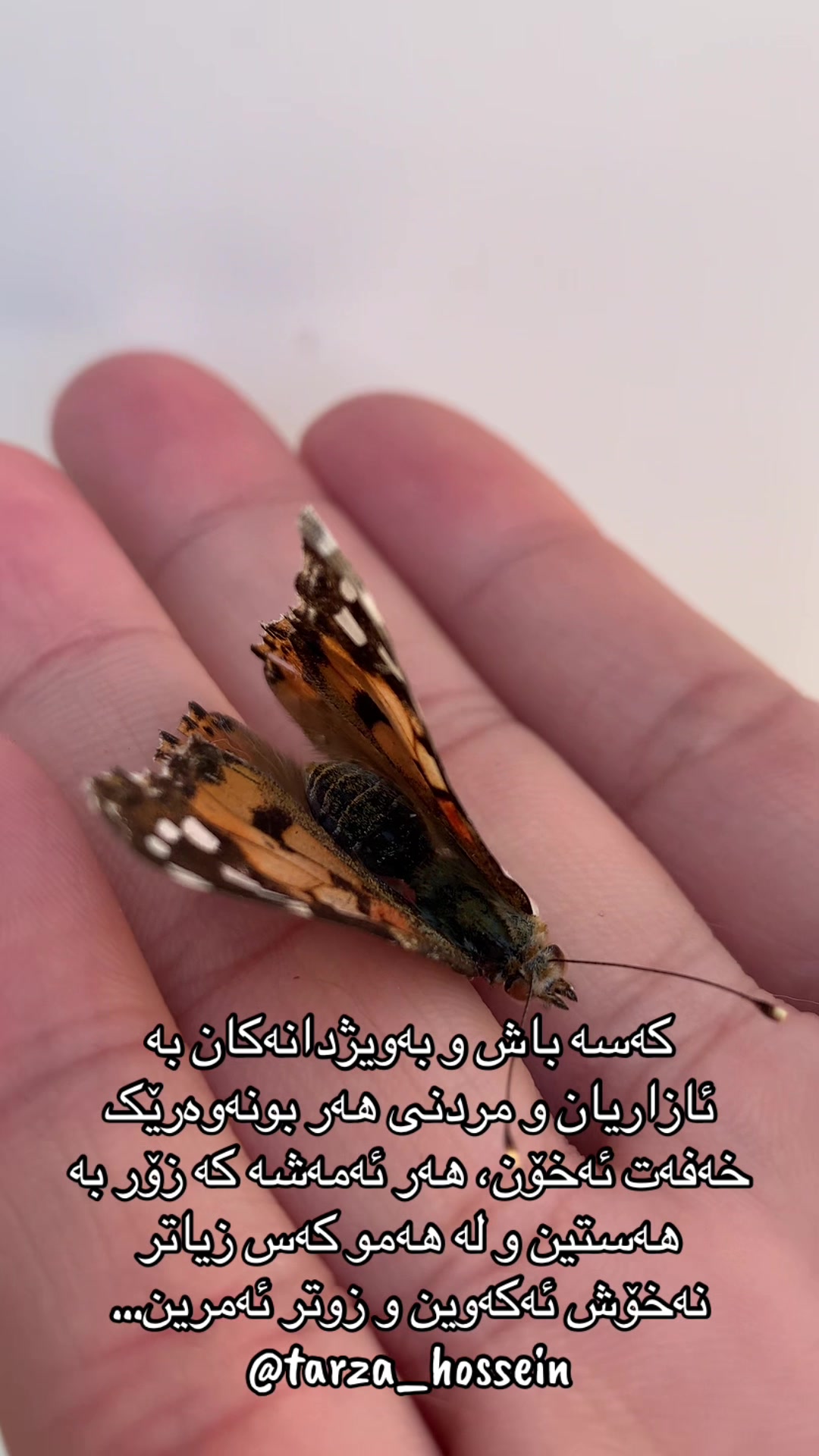 @تەرزە حسێن