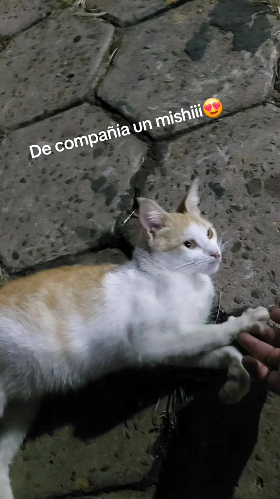 @jhanethrojas76