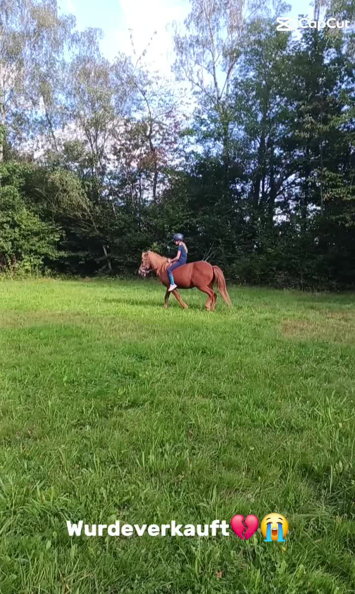 @🐴sophie🐴