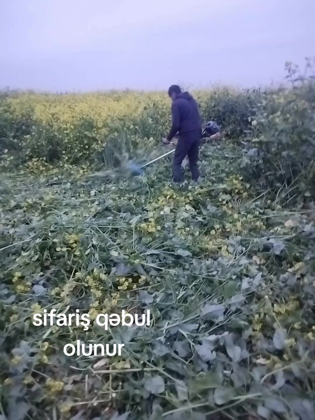 @Perviz