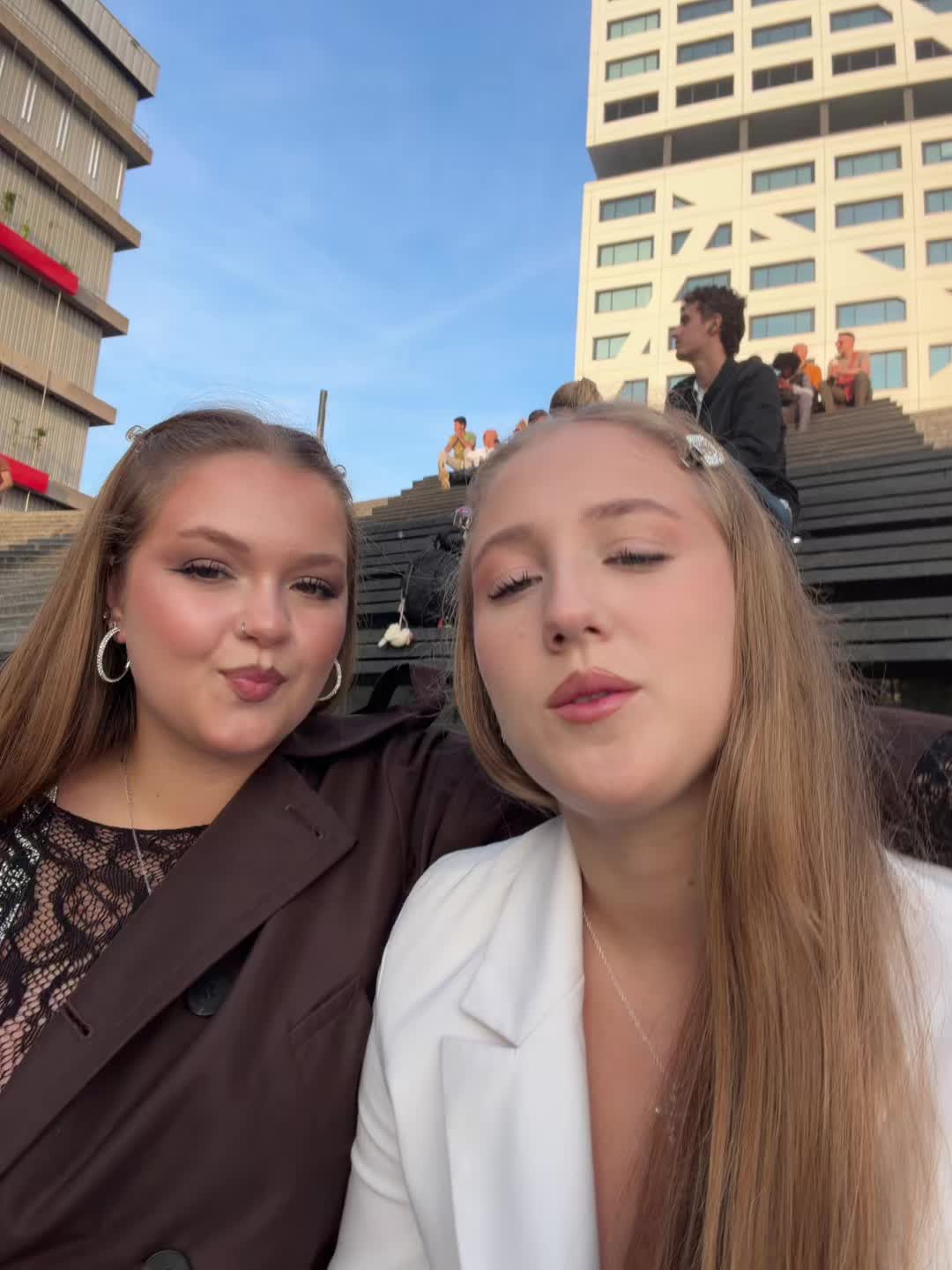 @hamsters