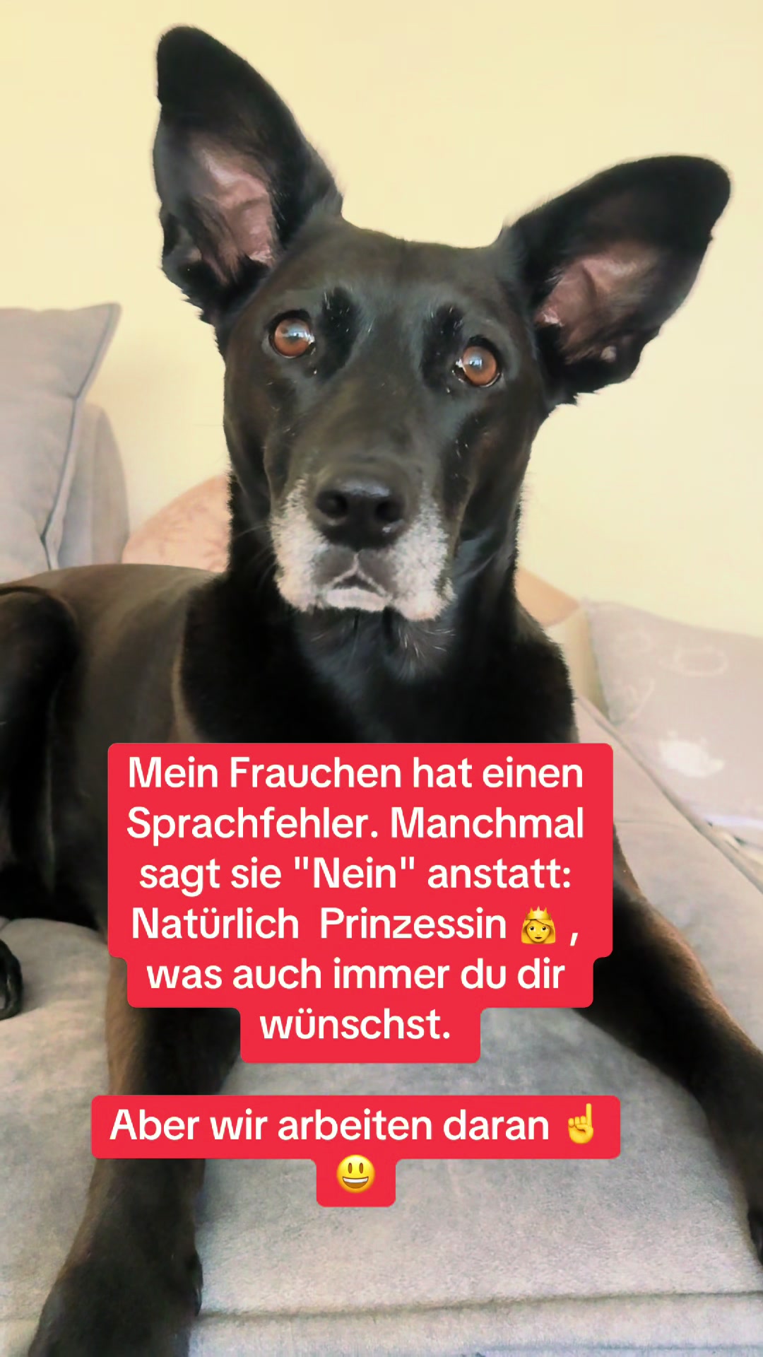 @BLACKY 🐶🐾