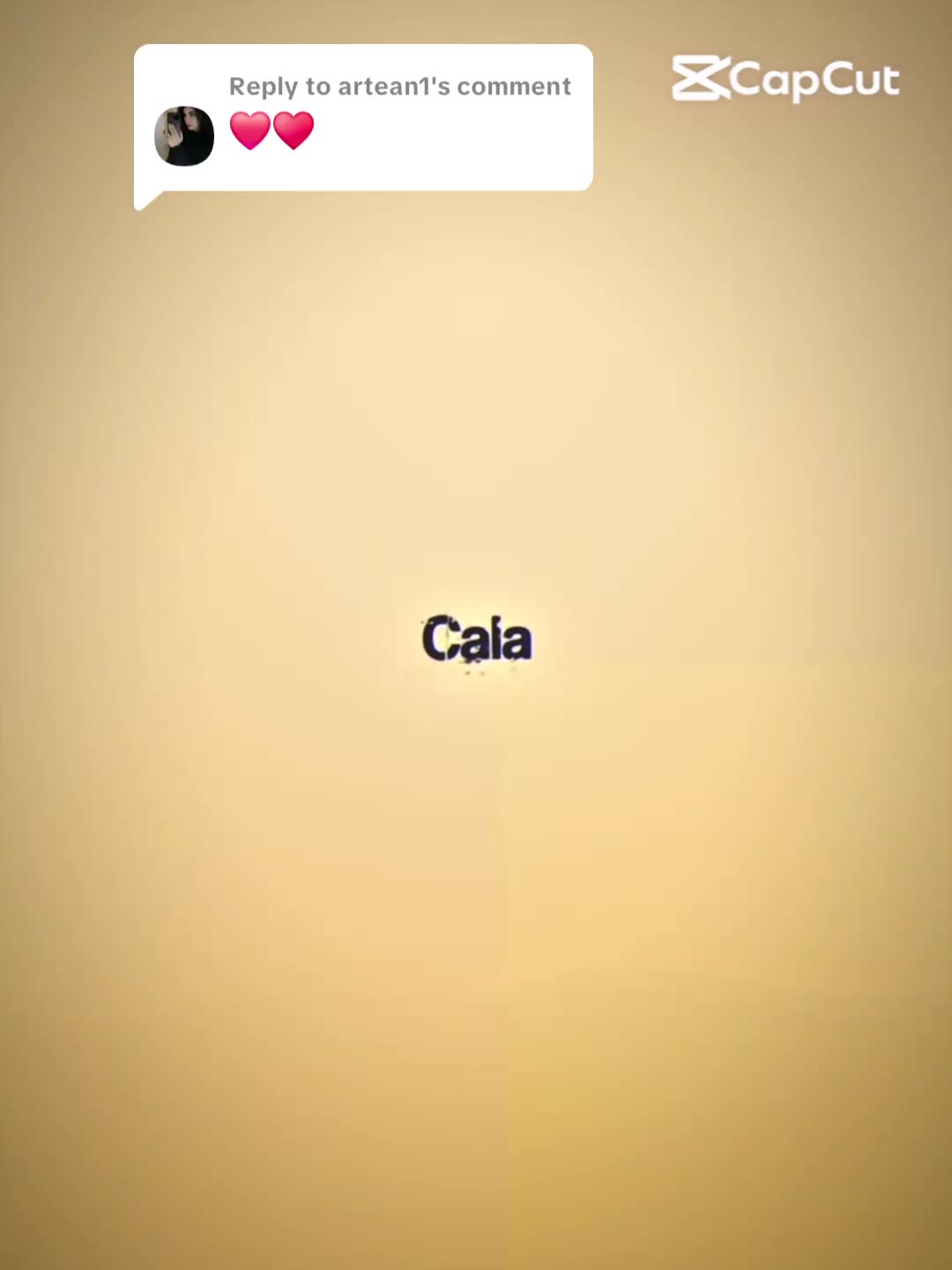 @E4Fane_hamidi