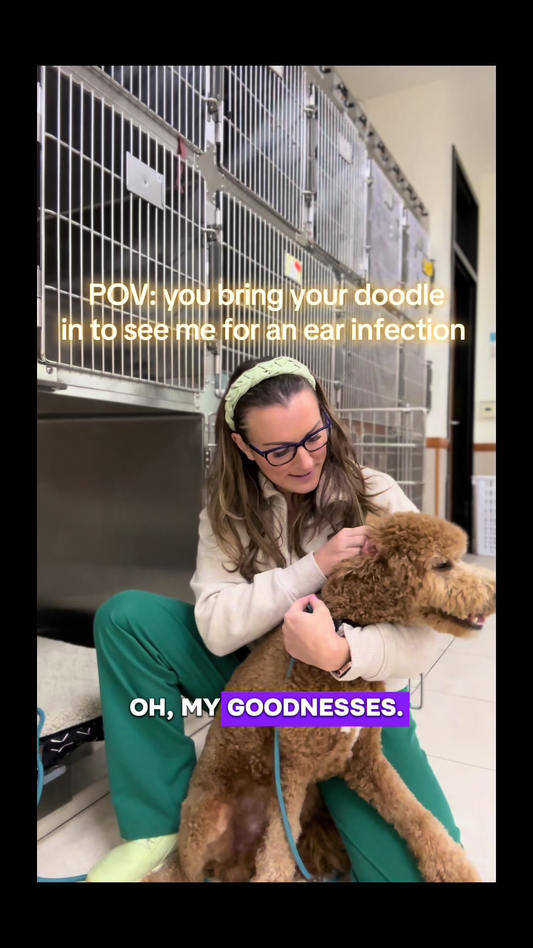 @drcaitlinveterinarian