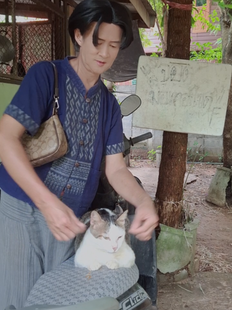 @แมวคุง