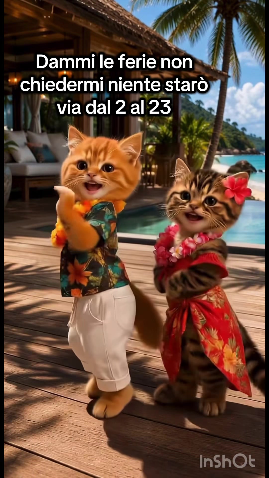 @antonellarizzo962