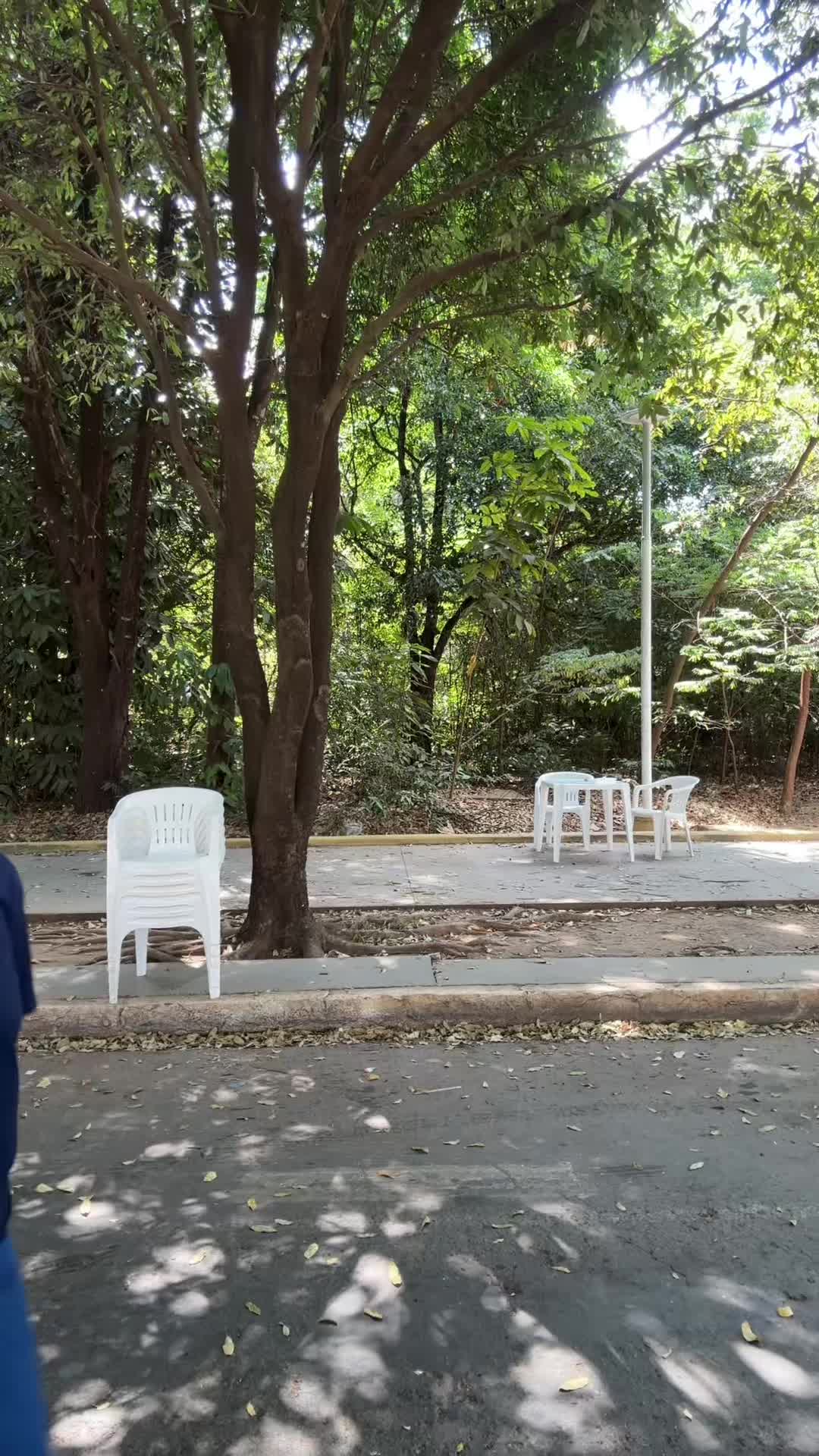 @irmaschacreiras