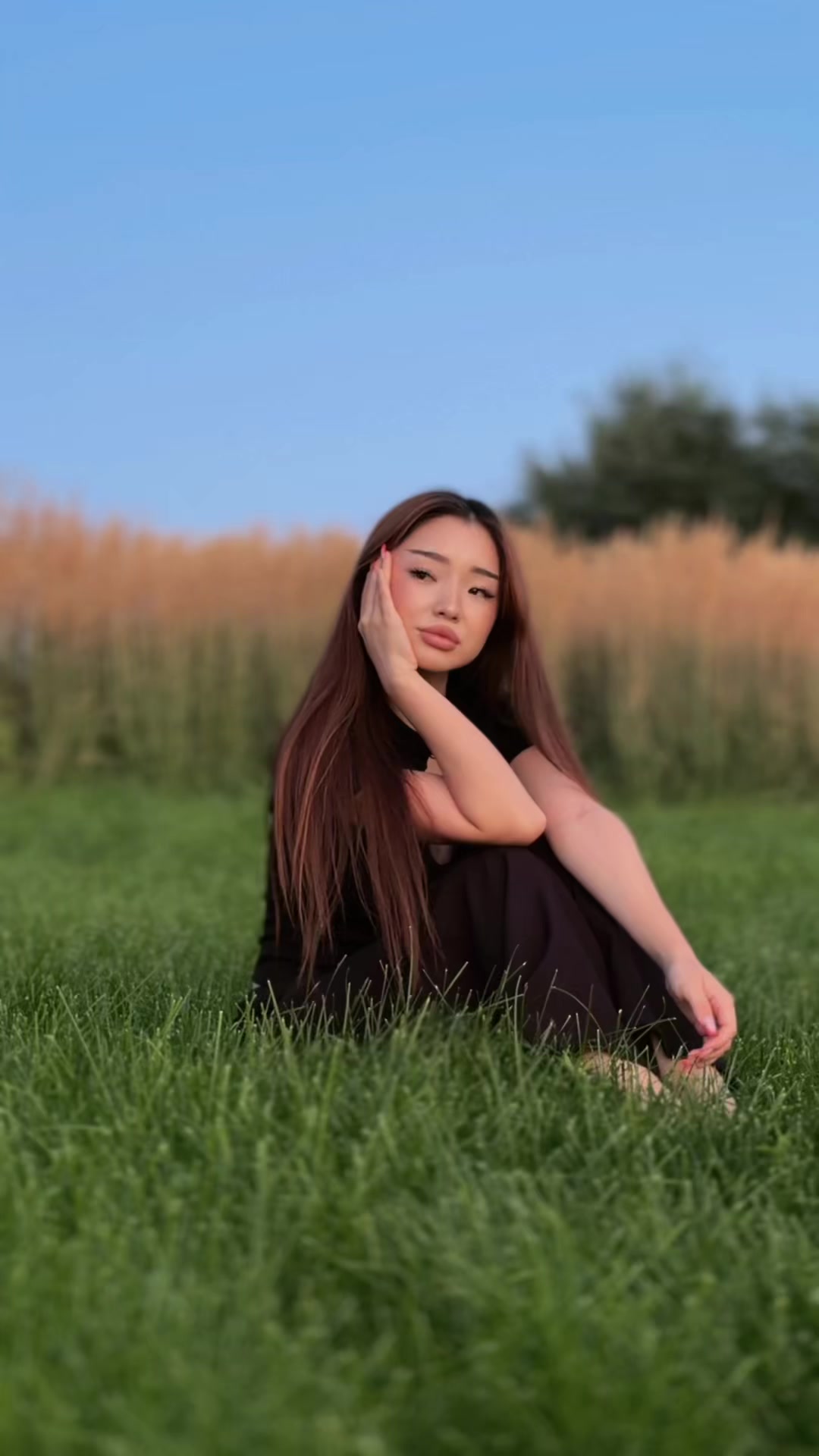 @assel.ss