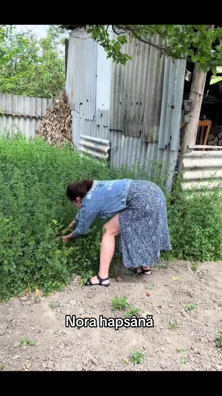 @Năstase Rodica