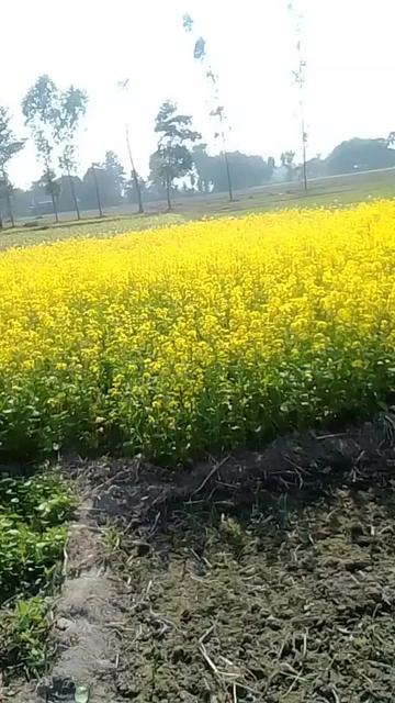 @अनु र