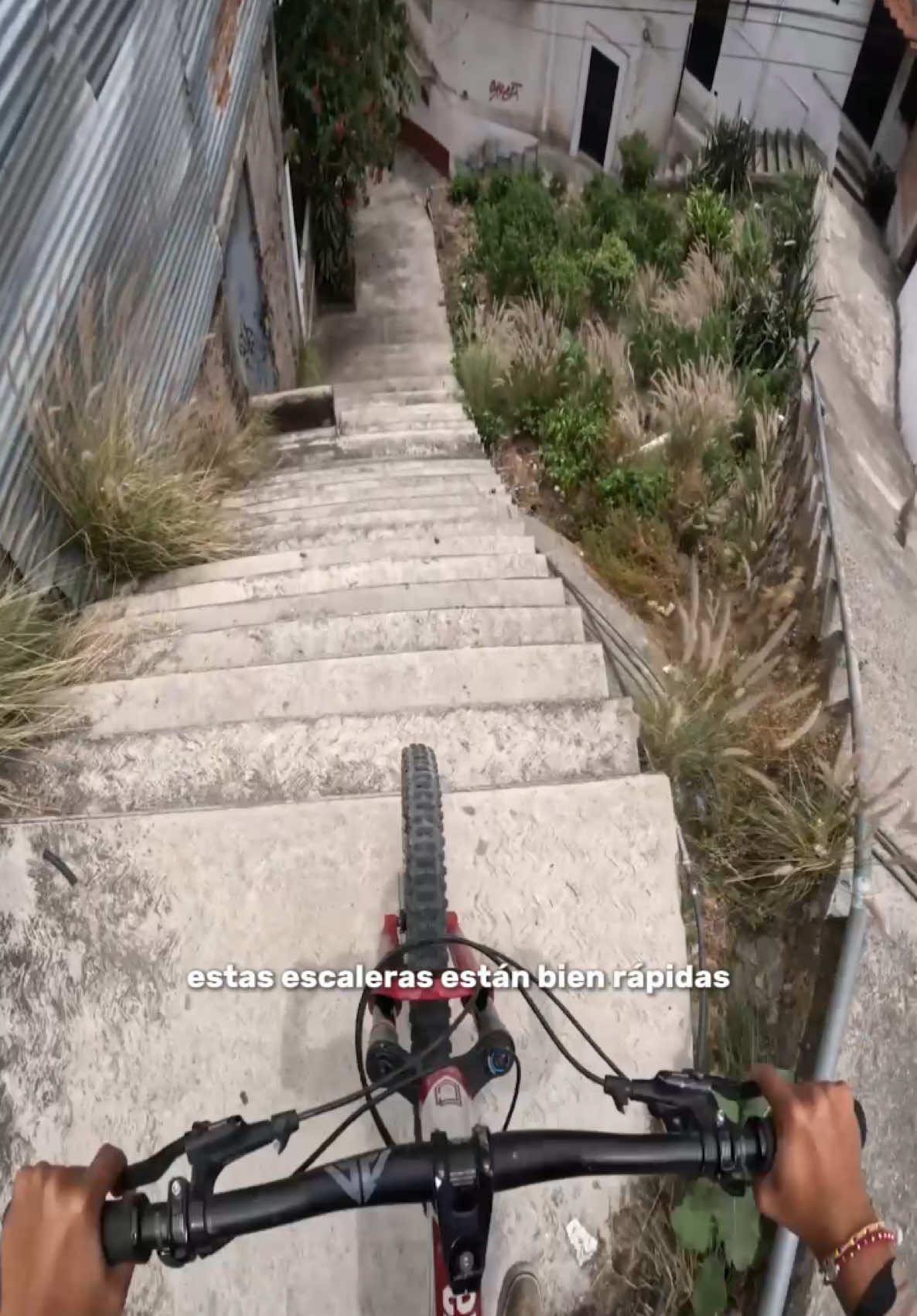 @Sebas Sotelo 🚵🏽 📽️