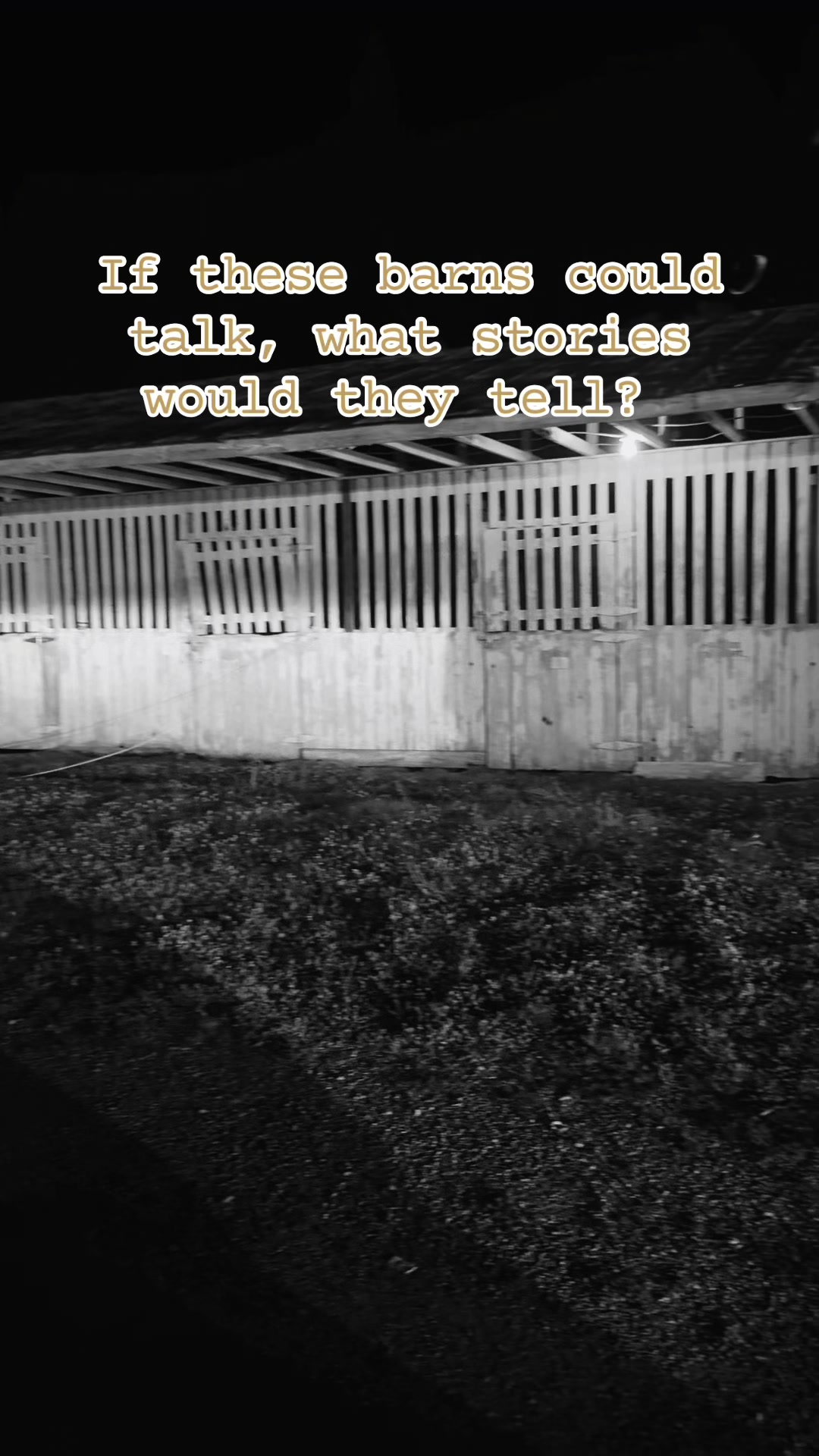 @EightyDollarStables