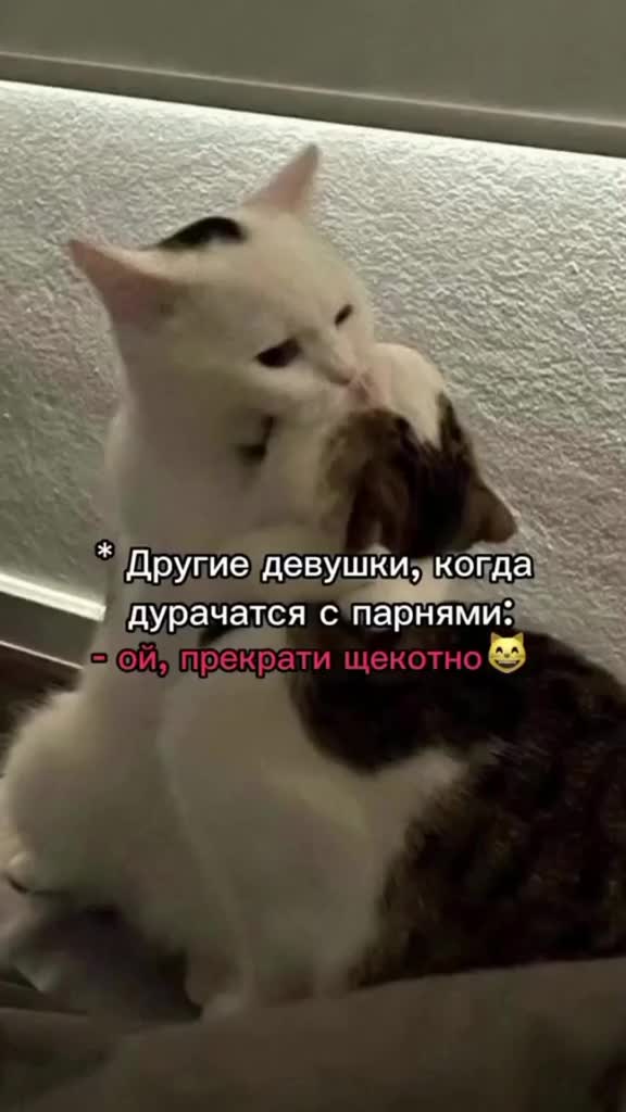 @ЗАВЬЯЛОВА🪬