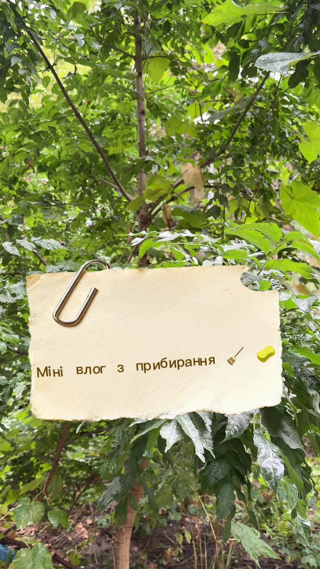 @albinaaaa🎀 | блог