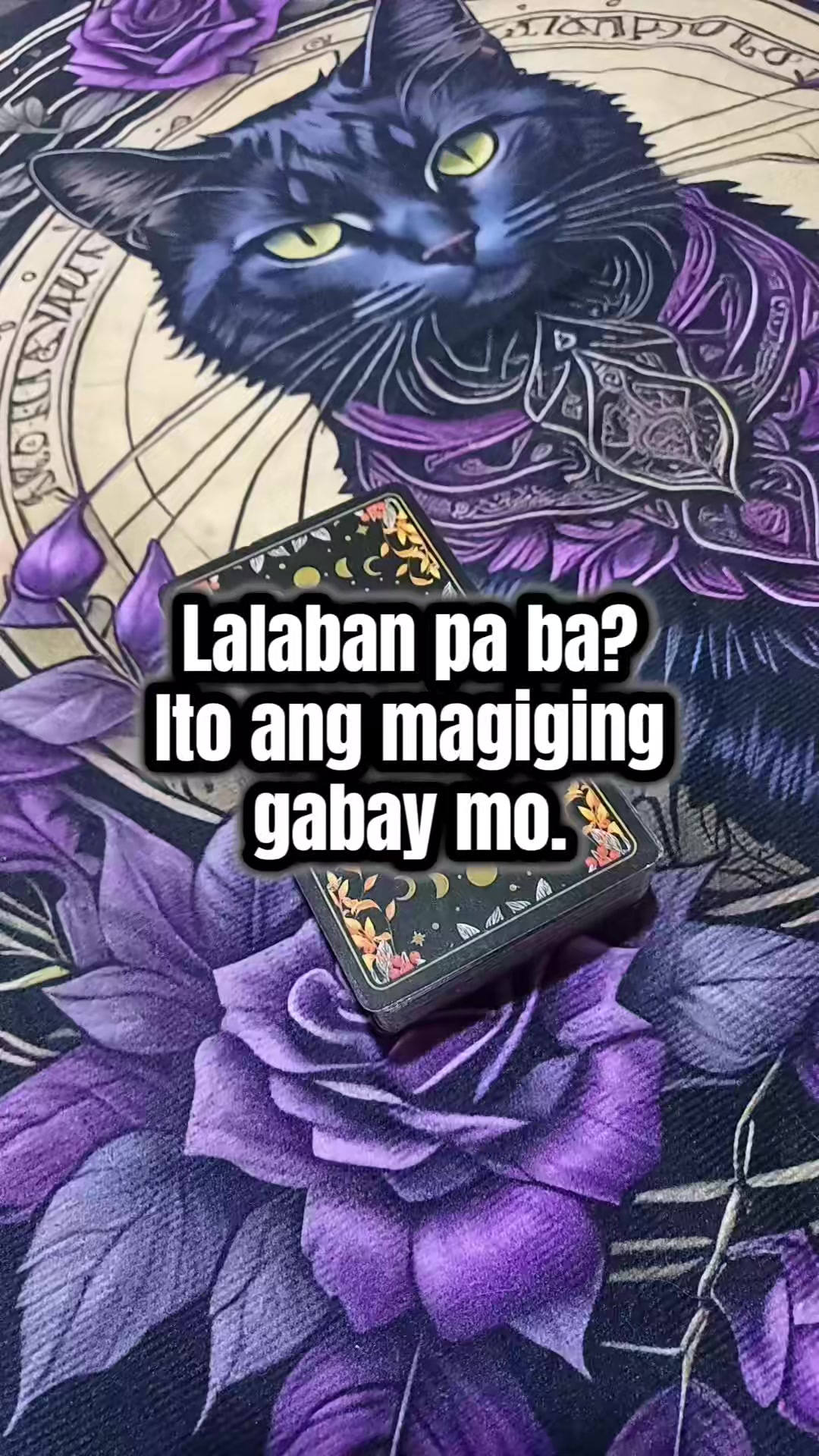 @Marie Tarot Reader
