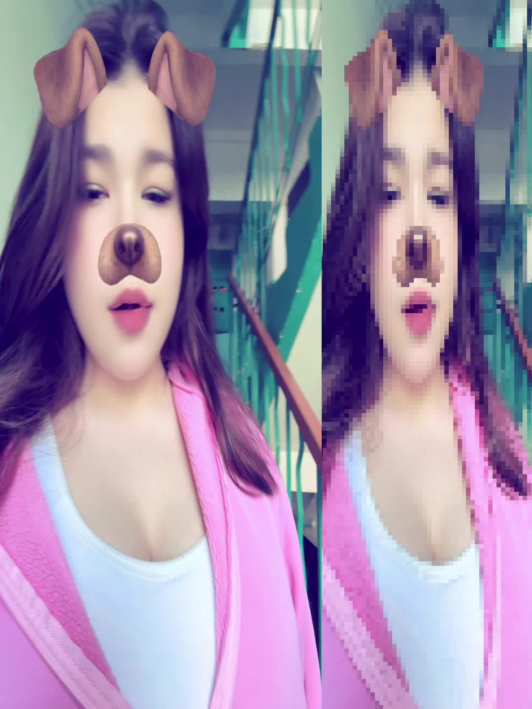 @Poli_pups