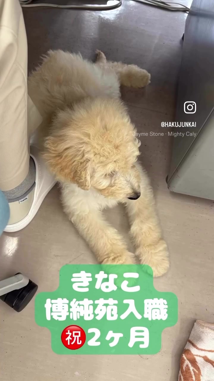 @博順会 博純苑