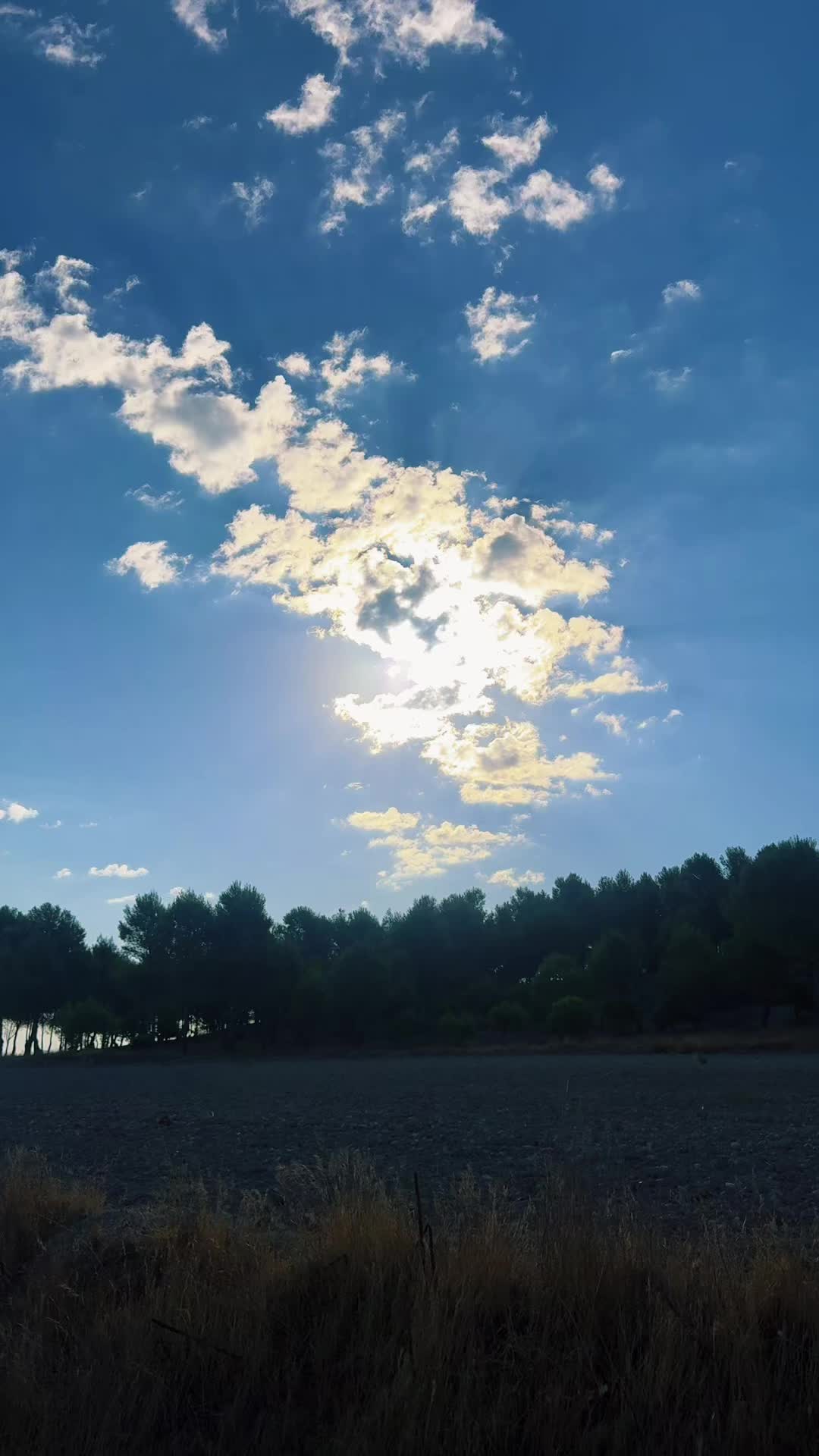 @🌺 𝓘𝓿𝓪𝓷𝓬𝓪 🌺