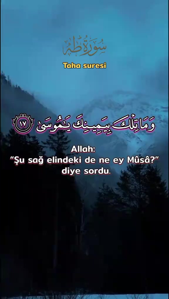 @_Hafizali61