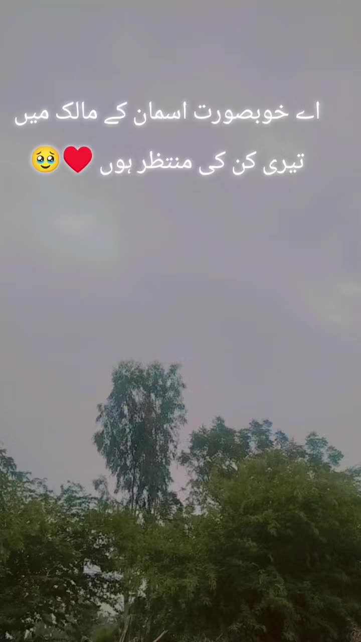 @♥️🤗مہر زادی 🤗 ♥️