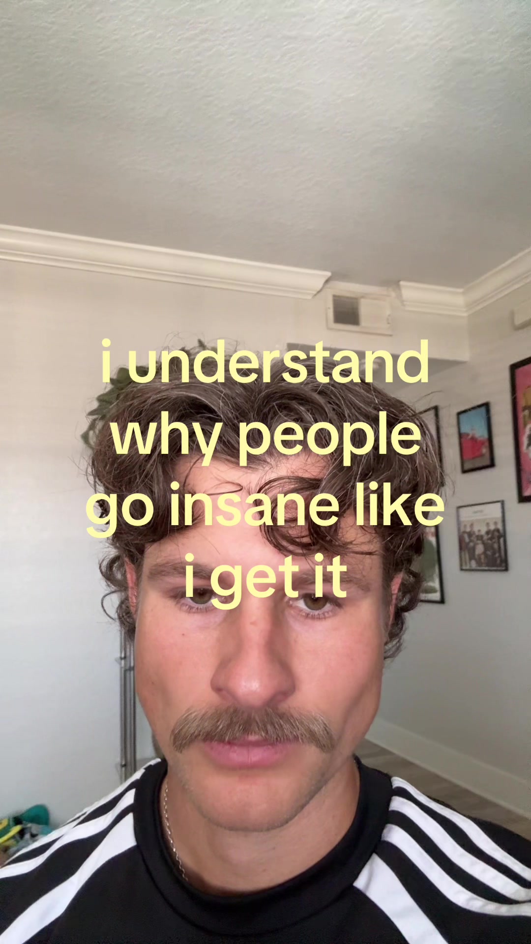 @shane