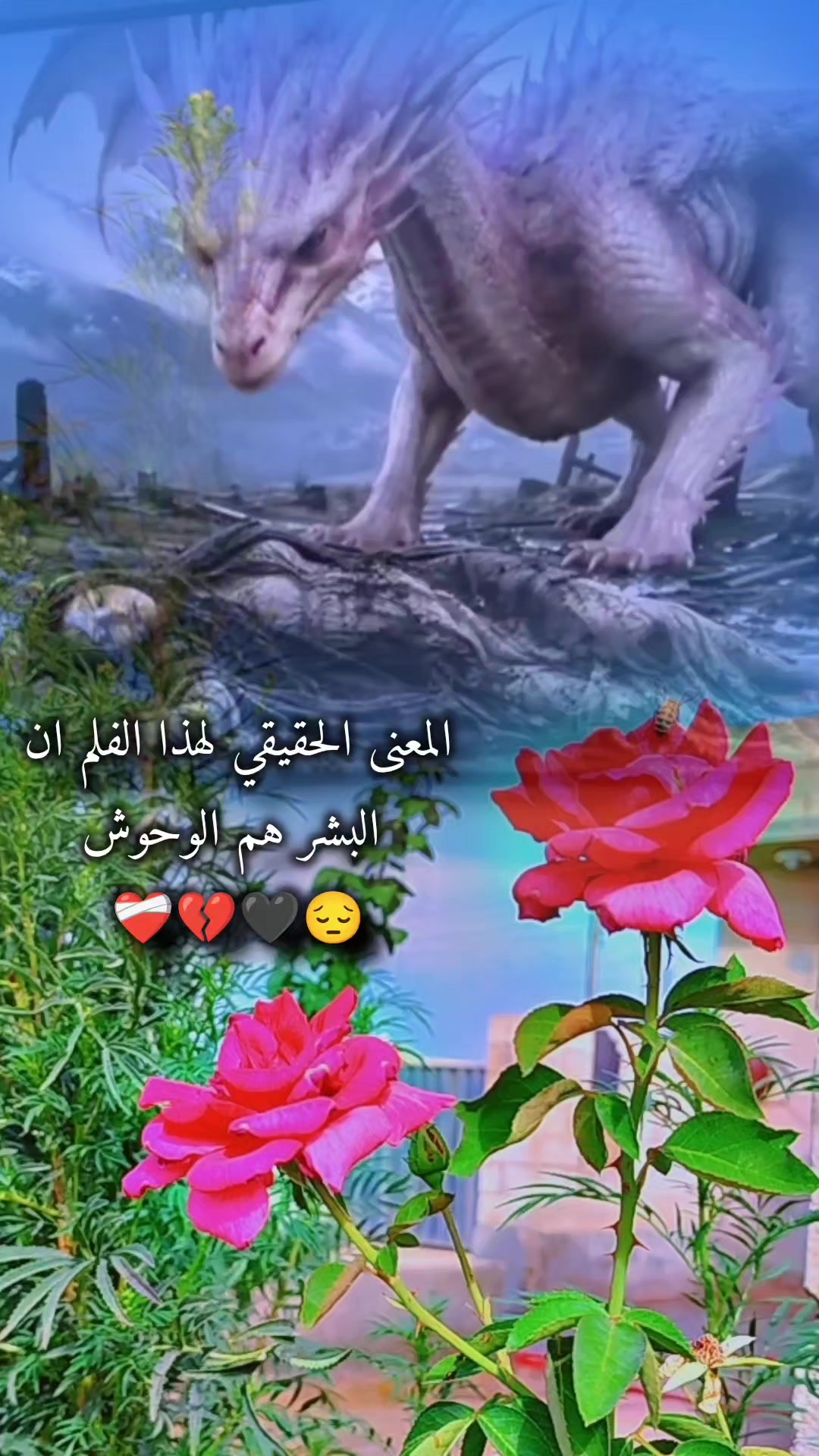 @عبير الورد🍃❤️
