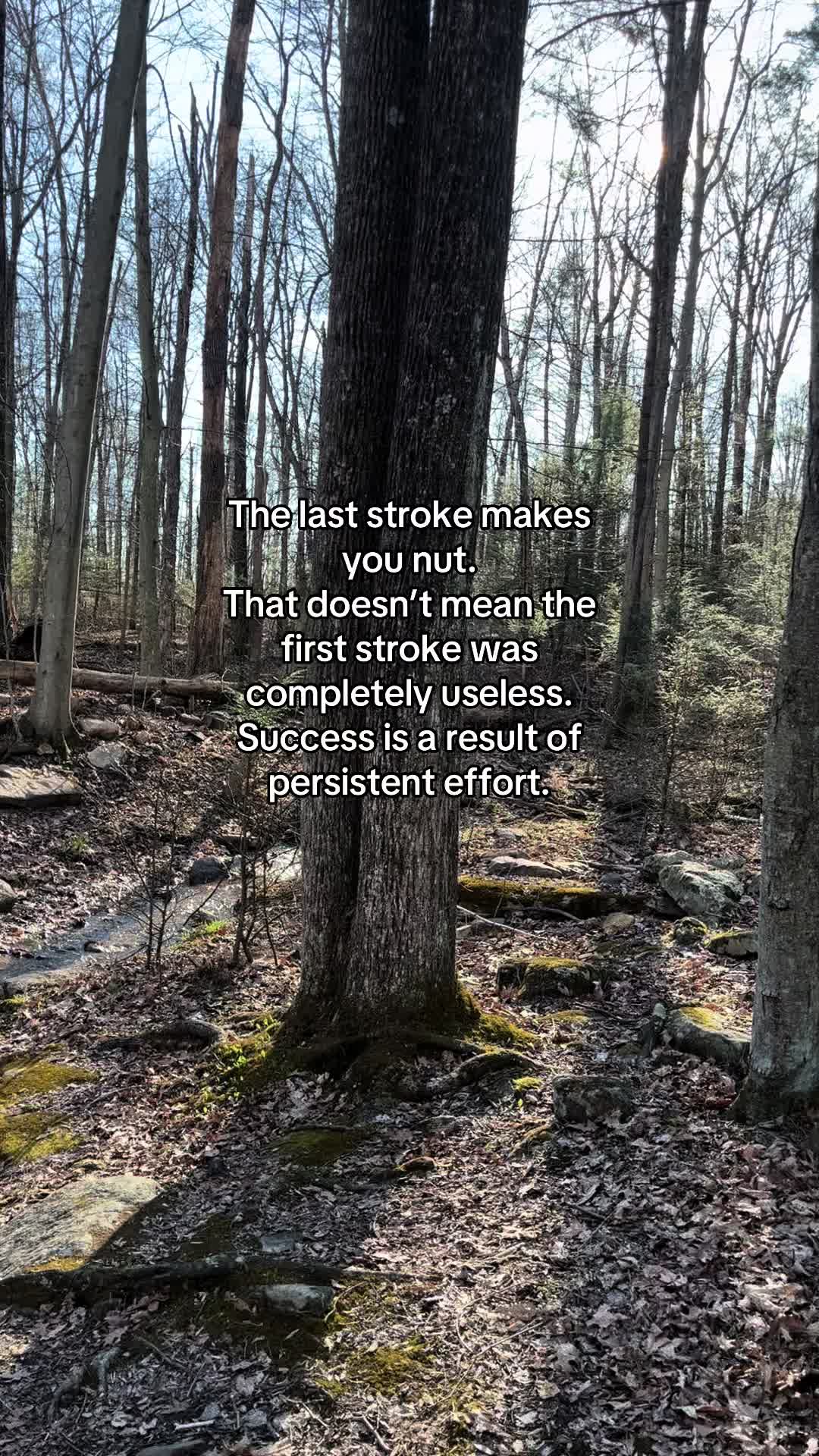 @toinfinitee