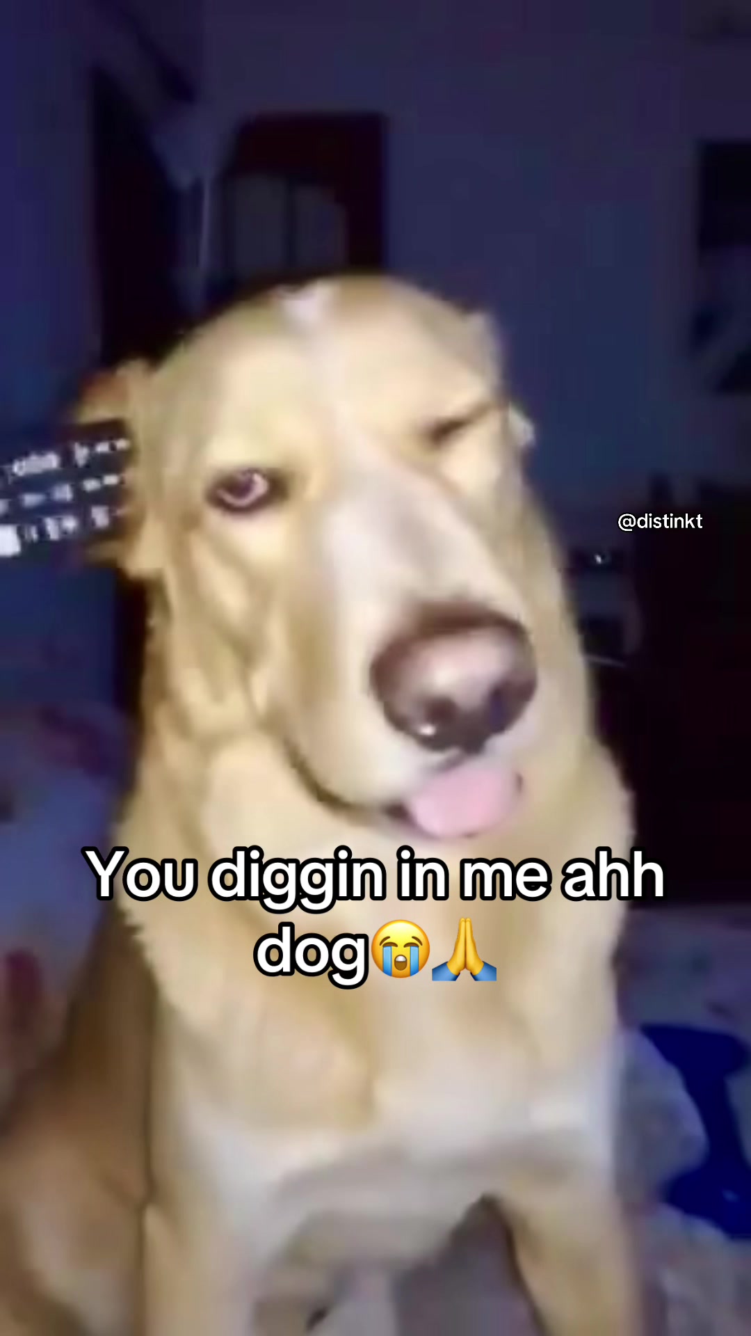 @Distinkt