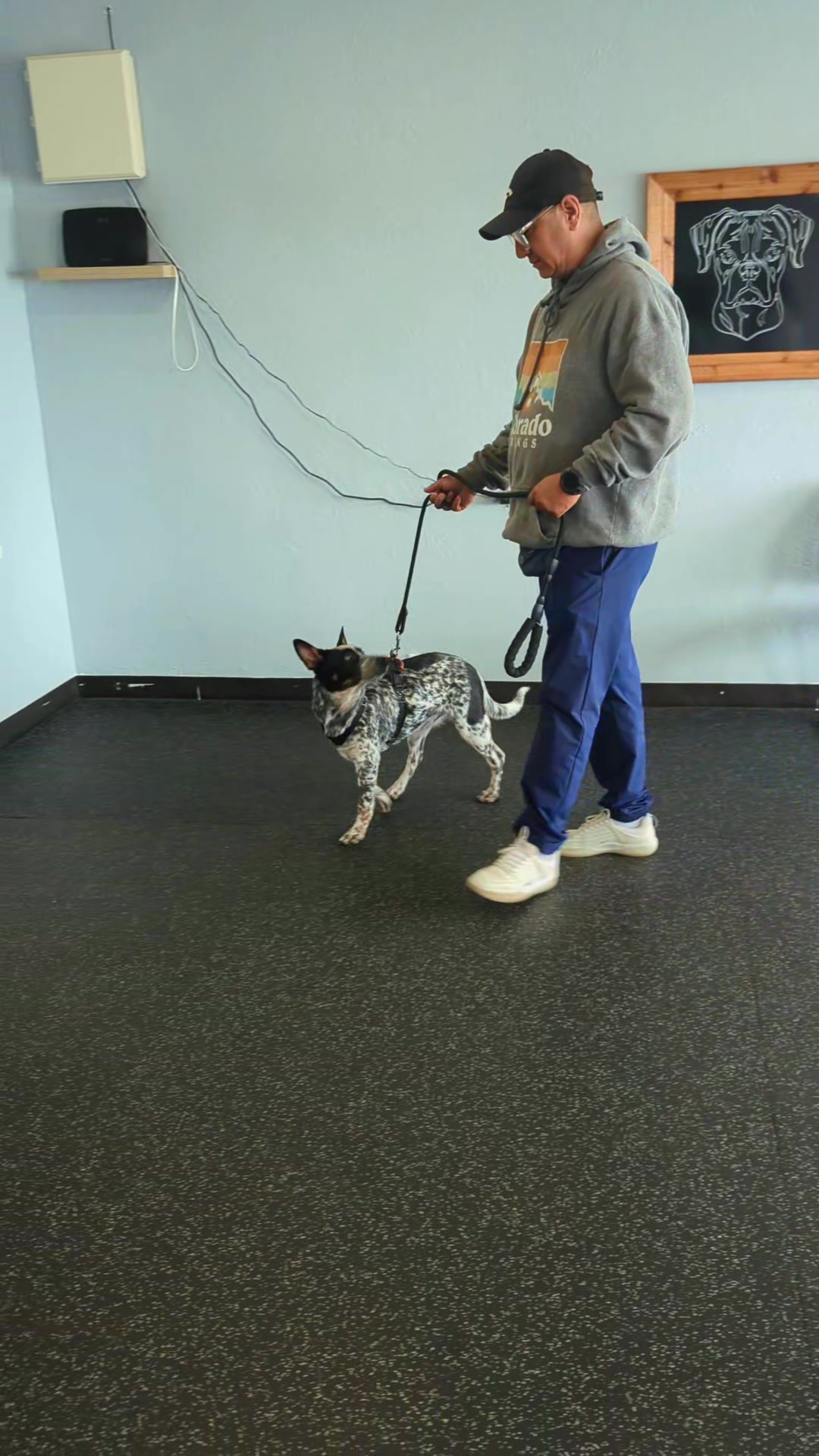 @South Paw Dog Training LLC
