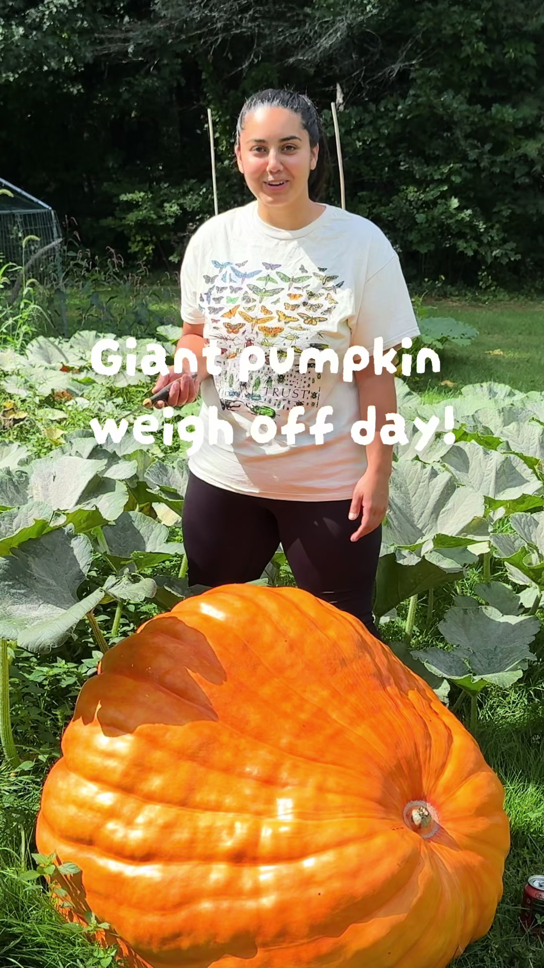 @Manica | zone 6a gardener
