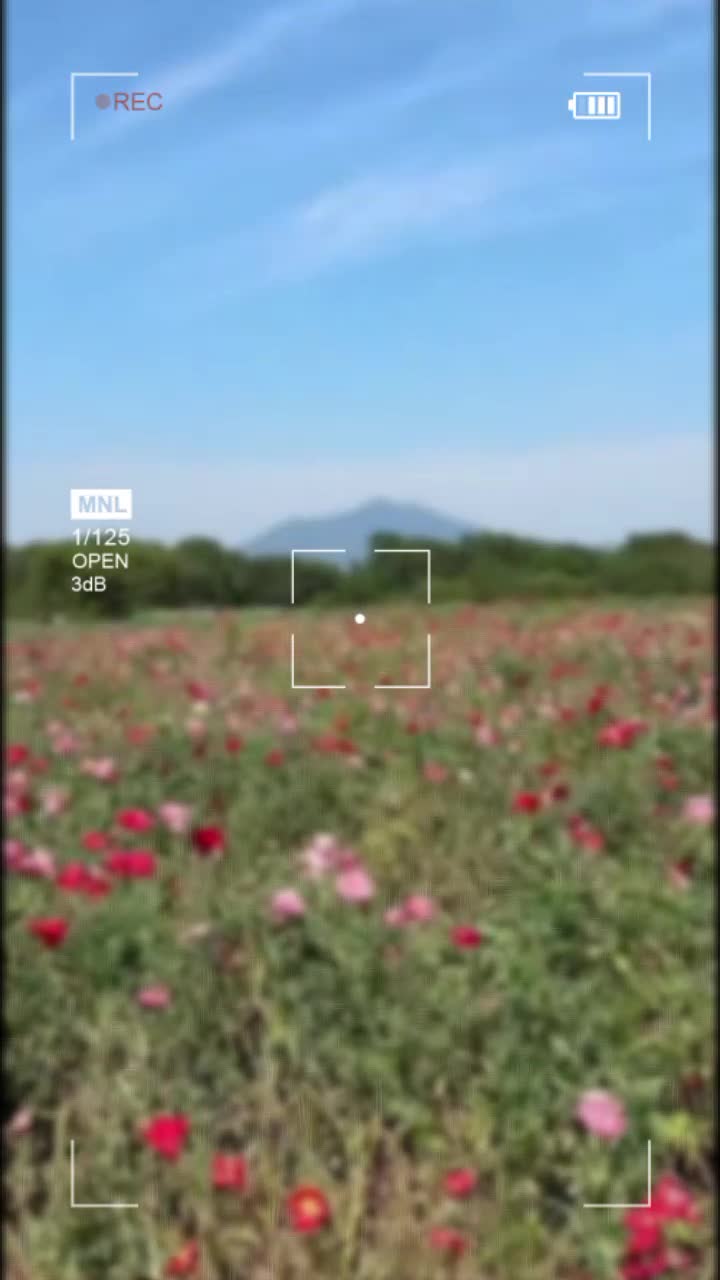 @๐ฑใใใใ๐ฑ