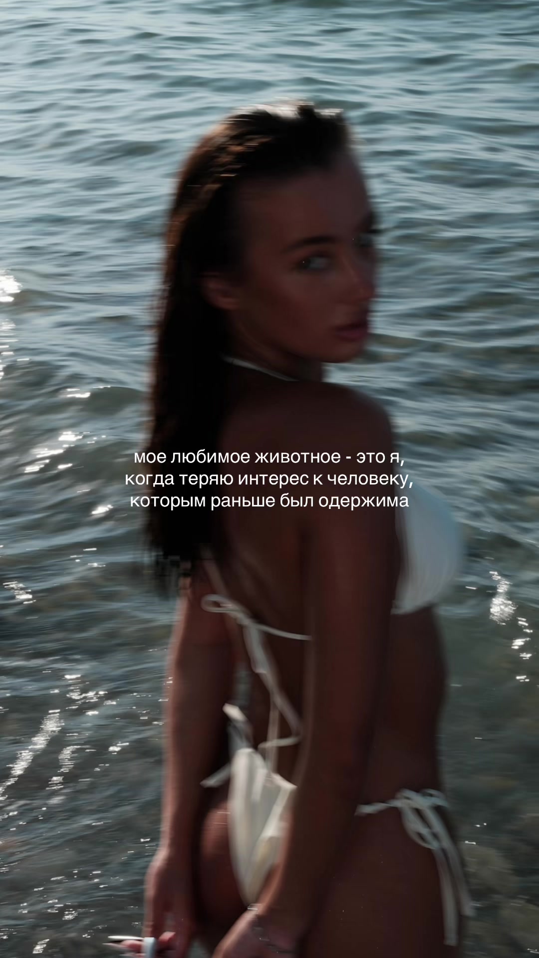 @Sophierrr