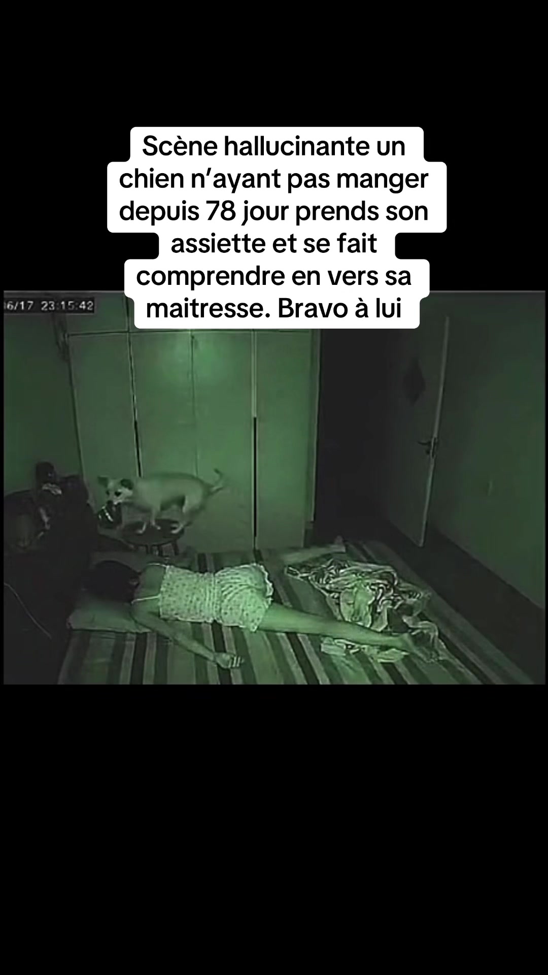 @SCÈNE INCROYABLE 🎬
