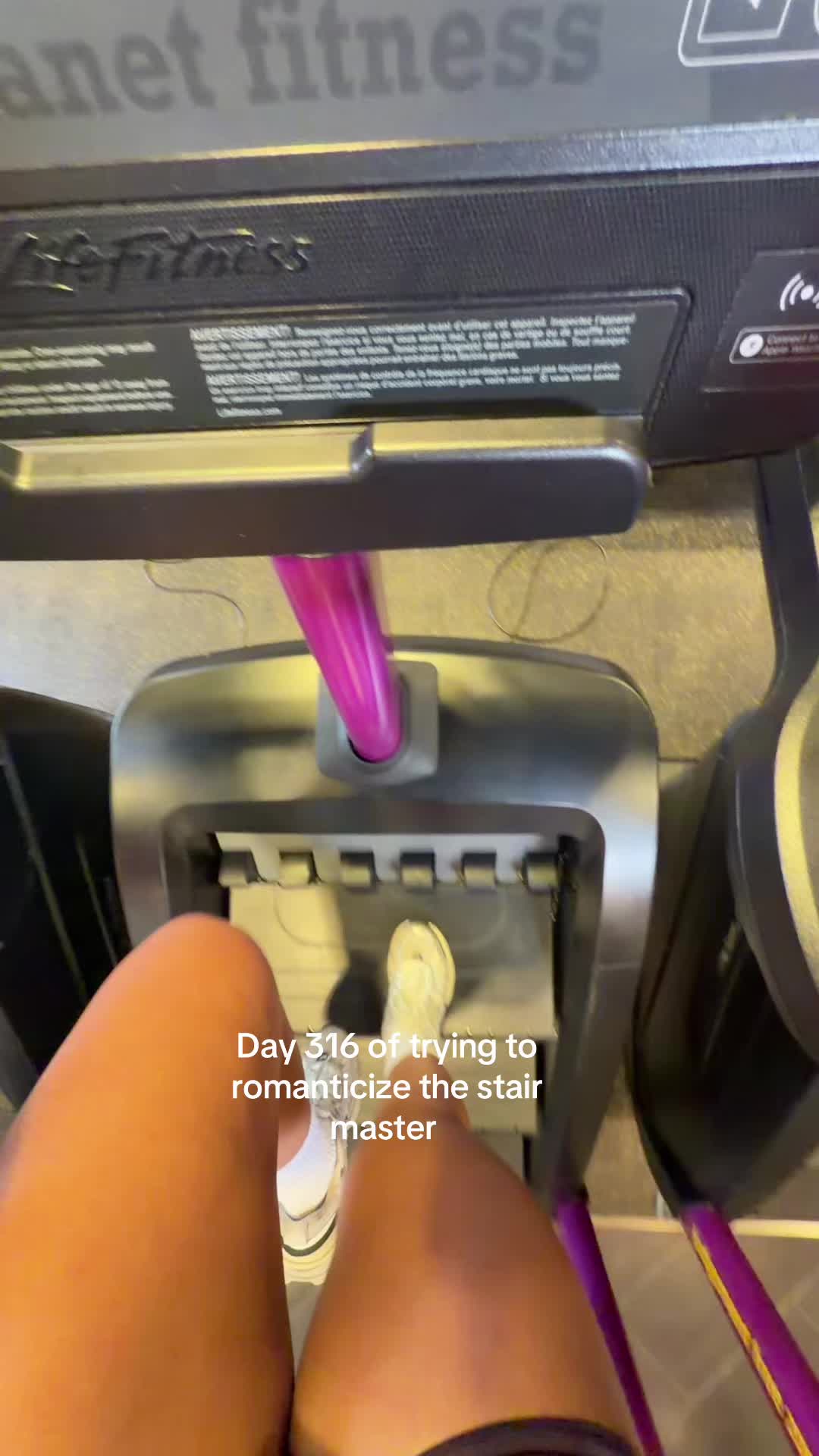 @alejandra