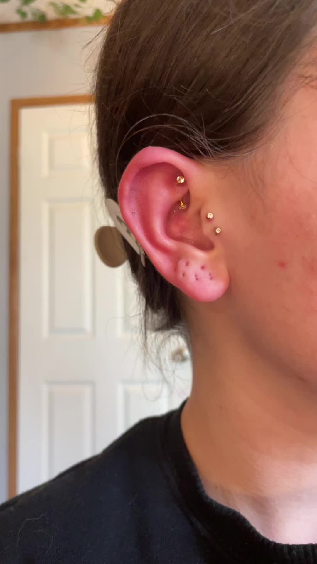 @audree&rsquo;s piercings 🪩