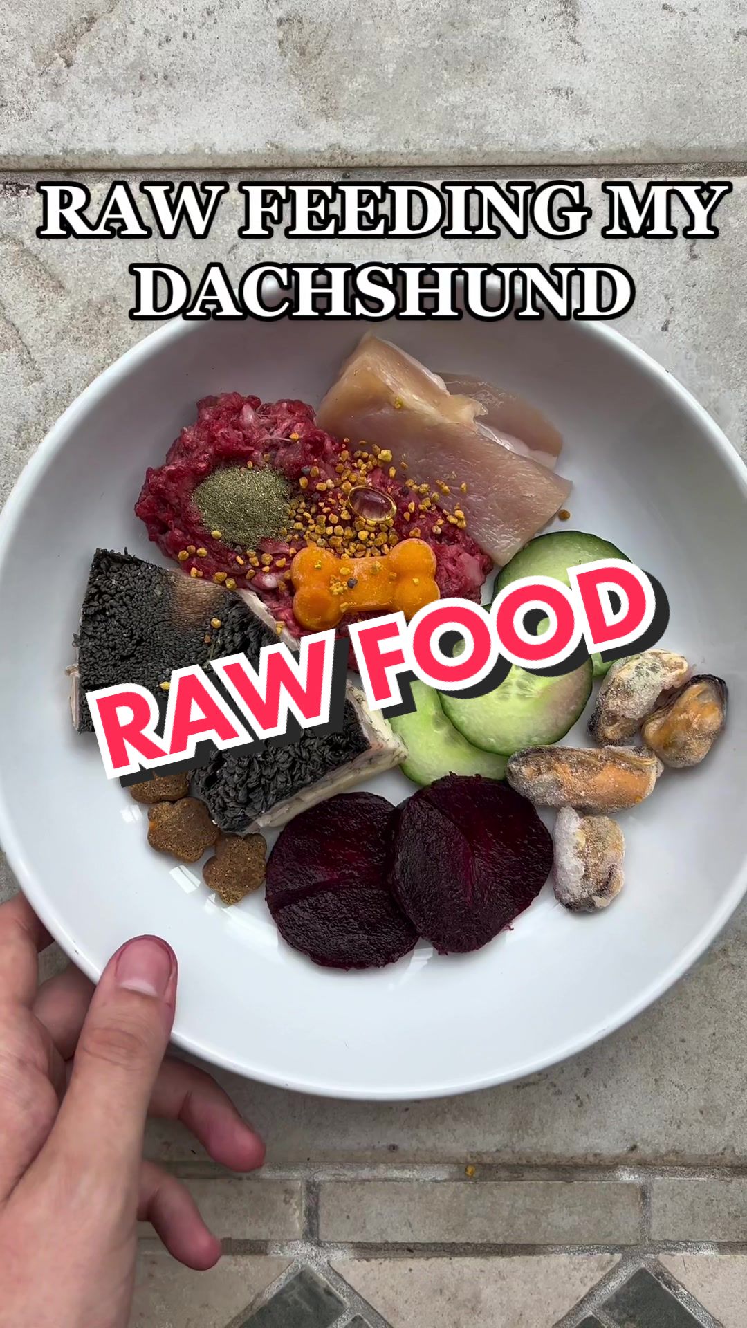 @rawfedASMR