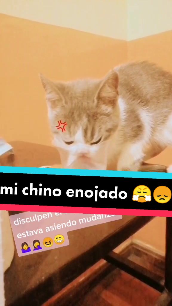@ShulyCitha_05
