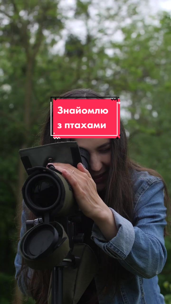 @Птахи, бьордвочинг, орнітолог