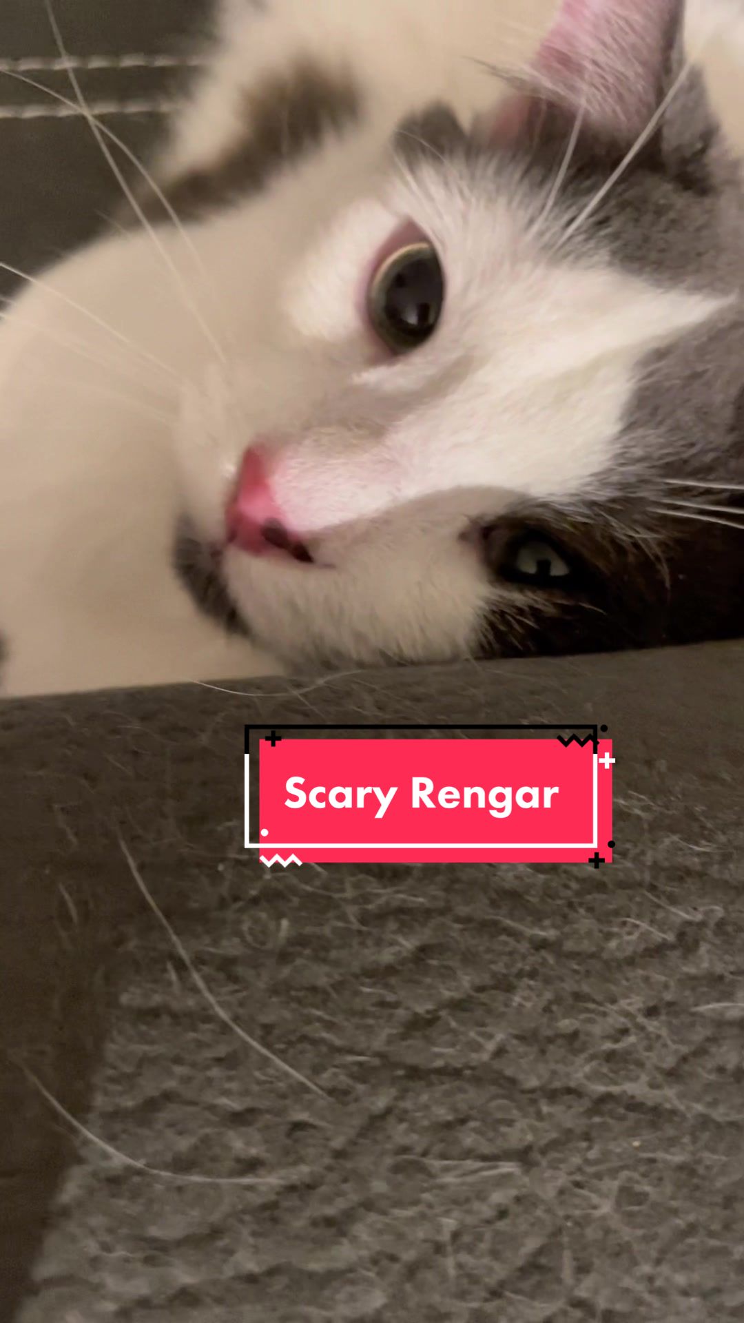 @FerociousRengar