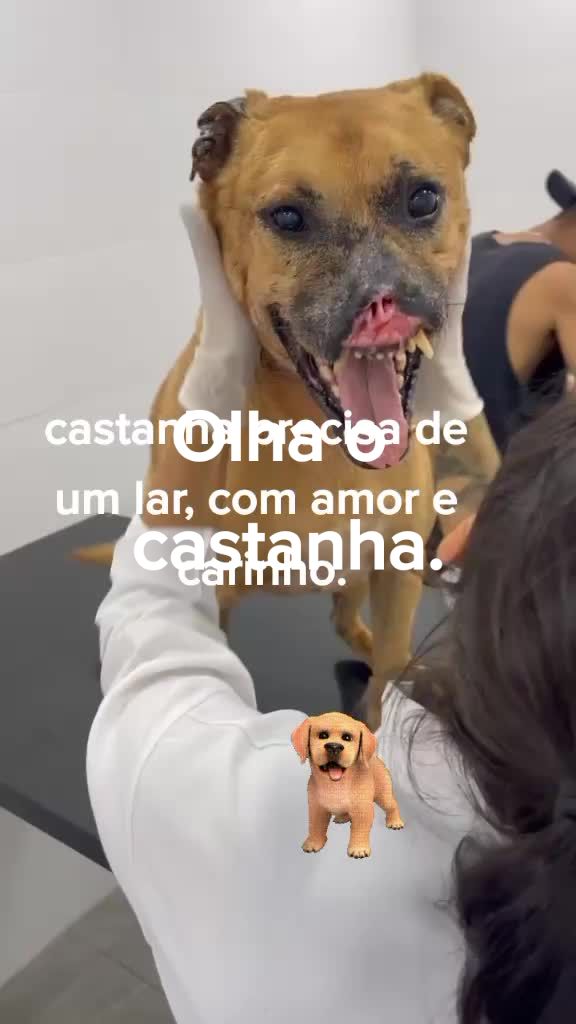 @Meirinha Teles