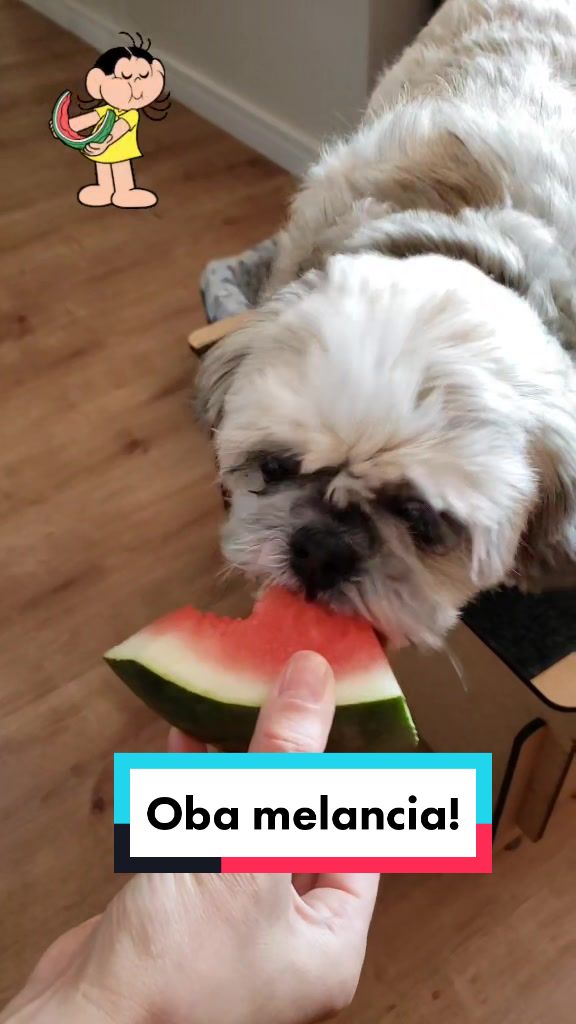 @Mel Spacemoon 🐶🐾
