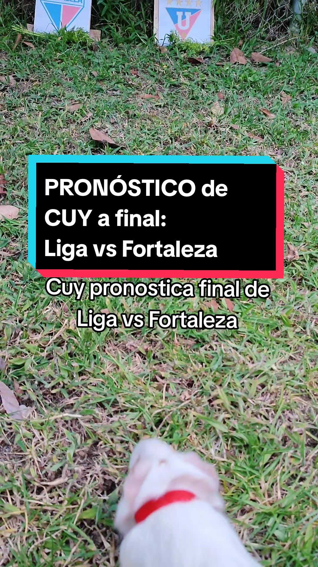 @La cuy adivina